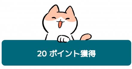 ロコネ20ポイント